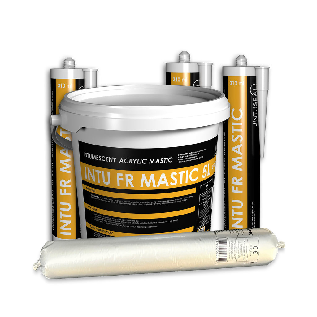 INTU FR MASTIC KIT WHITE 310ml